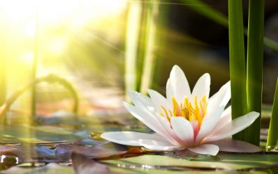 How Long Does It Take To Be Healed?