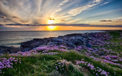 Where Can I Get Help for After Abortion Healing?